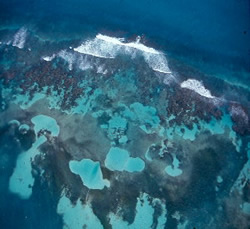 Contoy Island Reef