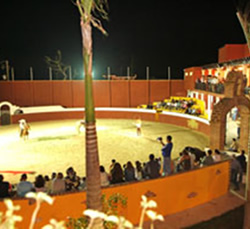 Party Mexican Exhibition Ecuestre